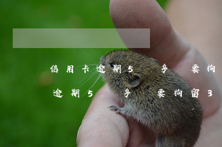 信用卡逾期5萬多說要拘留30天-信用卡逾期5萬多說要拘留30天是真的嗎