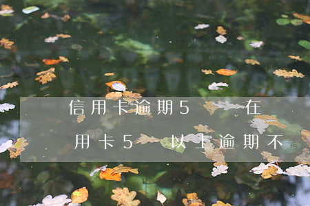 信用卡逾期5萬實在沒錢還怎么解決-欠信用卡5萬以上逾期不還款