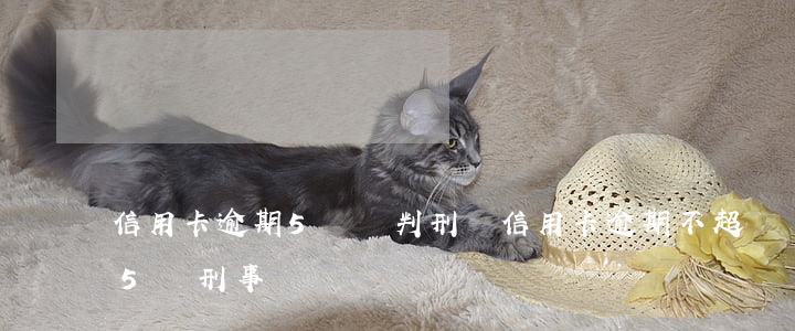 信用卡逾期5萬會判刑嗎(信用卡逾期不超過5萬刑事)