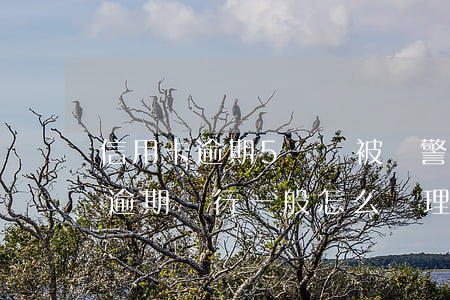 信用卡逾期5萬會被報警嗎(5萬以下信用卡逾期銀行一般怎么處理)