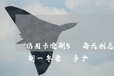 信用卡逾期5萬每天利息多少(信用卡5萬逾期一年要還多少)