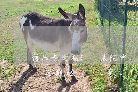 信用卡逾期5萬法院申請開庭 信用卡5萬塊錢逾期起訴會(huì)做多久