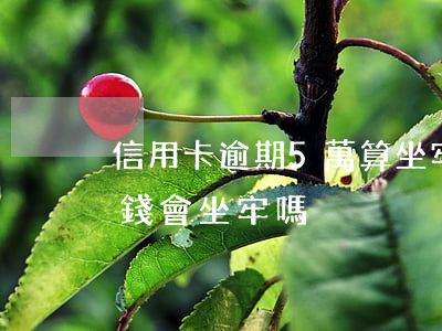 信用卡逾期5萬算坐牢嗎(信用卡逾期五千塊錢會坐牢嗎)