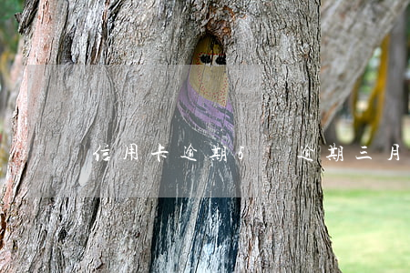 信用卡逾期5萬逾期三月(信用卡逾期5天)