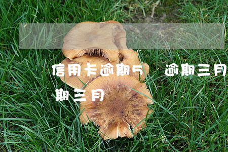 信用卡逾期5萬逾期三月(信用卡逾期5萬逾期三月)