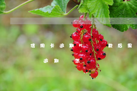 信用卡逾期5萬還款后果(信用卡欠款超過5萬逾期會怎樣)