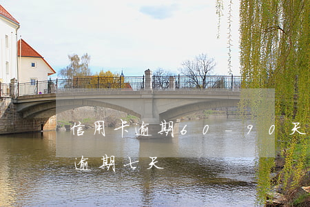 信用卡逾期60-90天記(信用卡100塊逾期七天)