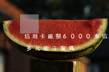 信用卡逾期6000多(信用卡逾期6000多元能立案嗎?)