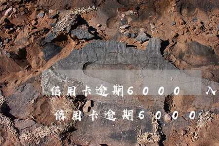 信用卡逾期6000進入法務(wù)部-信用卡逾期6000進入法務(wù)部會怎么樣