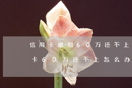信用卡逾期60万还不上怎么办(欠银行信用卡60万还不上怎么办)
