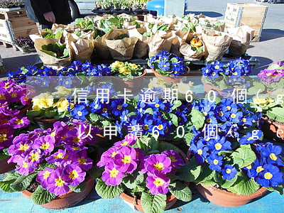 信用卡逾期60個(gè)月免息(信用卡可以申請60個(gè)月免息還款嗎)
