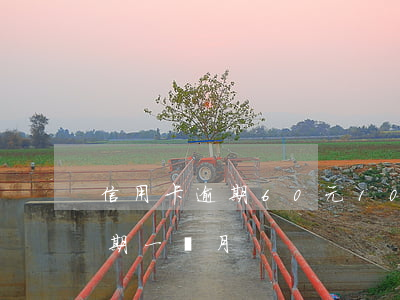 信用卡逾期60元10個月(信用卡50元逾期一個月)