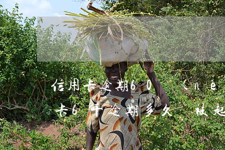 信用卡逾期60內(nèi)會怎么樣(信用卡6千逾期多久會被起訴)