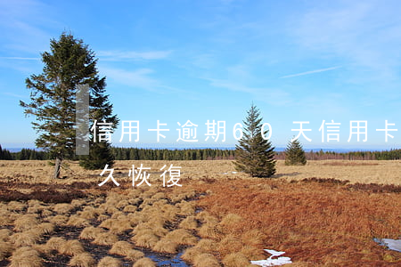 信用卡逾期60天(信用卡逾期60天征信多久恢復)