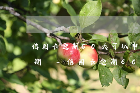 信用卡逾期60天可以申請(qǐng)分期嗎-信用卡逾期60天可以申請(qǐng)分期嗎怎么辦