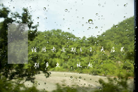 信用卡逾期60天后果會怎樣(信用卡6萬逾期多久會被起訴)