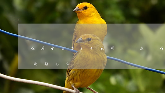 信用卡逾期60天影響貸款嗎(信用卡60天逾期怎么辦)