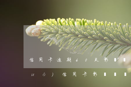 信用卡逾期60天影響車貸嗎-逾期過(guò)信用卡 影響車貸嗎