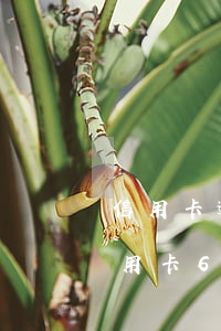 信用卡逾期60天是怎么計(jì)算-信用卡600元逾期15天