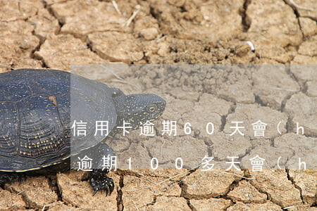 信用卡逾期60天會(huì)上黑名單嗎(逾期100多天會(huì)上黑名單嗎)
