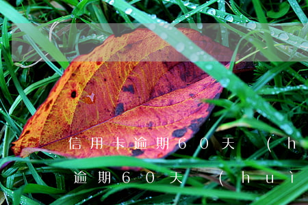 信用卡逾期60天會(huì)怎樣(信用卡逾期60天會(huì)不會(huì)影響到貸款)