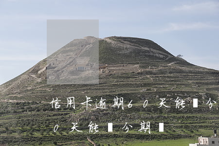 信用卡逾期60天能辦分期嗎(信用卡逾期60天能辦分期嗎)