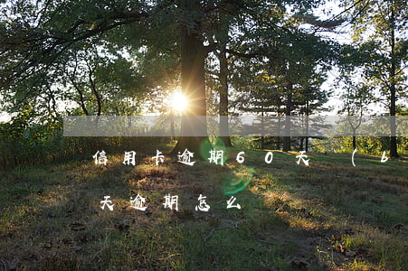 信用卡逾期60天補(bǔ)救(信用卡60天逾期怎么辦)