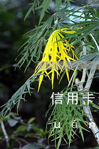 信用卡逾期60天說(shuō)轉(zhuǎn)交法務(wù)部門(mén)-信用卡逾期60天說(shuō)轉(zhuǎn)交法務(wù)部門(mén)是真的嗎