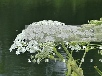 信用卡逾期60天还可以贷款吗(信用卡60元逾期15天,征信有问题吗?)