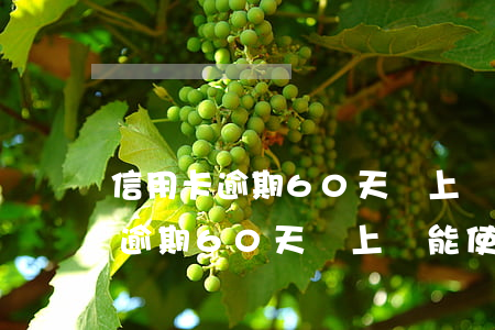信用卡逾期60天還上還能使用么-信用卡逾期60天還上還能使用么嗎