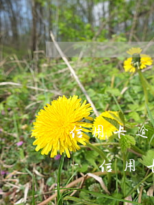 信用卡逾期60天還能刷出來(lái)嗎-信用卡逾期60天還能刷出來(lái)嗎怎么辦