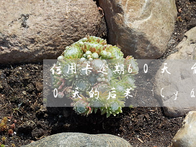 信用卡逾期60天還能刷出來嗎-信用卡60天的后果嚴(yán)重