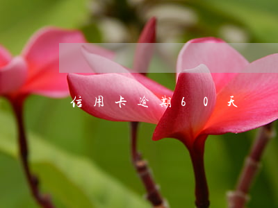 信用卡逾期60天還貸