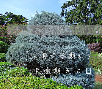 信用卡逾期65天危險(xiǎn)嗎(信用卡逾期五六個月)