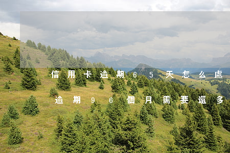 信用卡逾期65天怎么處理(信用卡500元逾期96個月需要還多少)