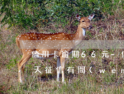 信用卡逾期66元-信用卡60元逾期15天,征信有問(wèn)題嗎?