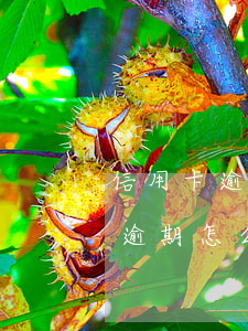 信用卡逾期66天怎么解決-信用卡60天逾期怎么辦