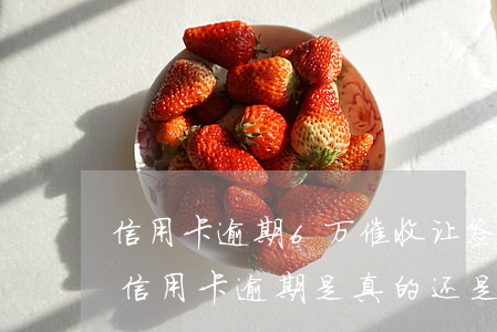 信用卡逾期6万催收让签字(发信息说起诉我信用卡逾期是真的还是催收)