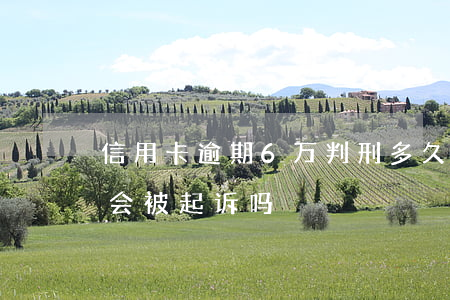 信用卡逾期6万判刑多久(信用卡逾期6千多会被起诉吗)