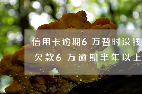 信用卡逾期6万暂时没钱还怎么解决(信用卡欠款6万逾期半年以上会怎样)
