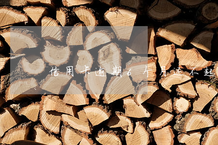 信用卡逾期6个月还不起