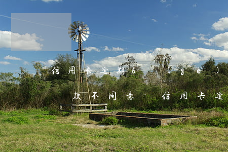 信用卡逾期6個(gè)月協(xié)商還款不同意-信用卡逾期6個(gè)月協(xié)商還款不同意怎么辦
