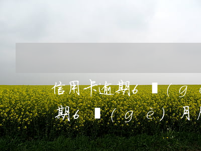信用卡逾期6個(gè)月后還清 信用卡逾期6個(gè)月后還清可以嗎