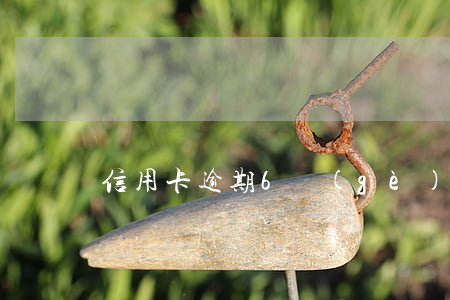 信用卡逾期6個(gè)月怎么處理