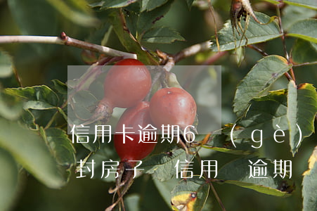 信用卡逾期6個(gè)月會(huì)查封房子嗎 信用貸逾期會(huì)查封房子嗎