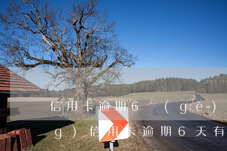 信用卡逾期6個(gè)月能申請(qǐng)(信用卡逾期6天有事嗎)