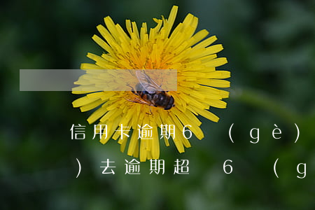 信用卡逾期6個(gè)月還不進(jìn)去(逾期超過6個(gè)月以上的信用卡,該如何處理?)