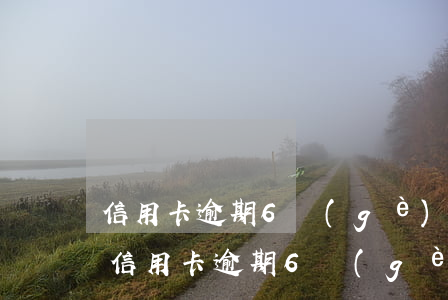 信用卡逾期6個(gè)月還能解封嗎6-信用卡逾期6個(gè)月還能解封嗎600元