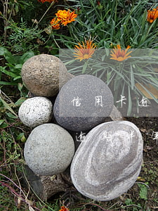 信用卡逾期6個月1萬會坐牢(兩萬的信用卡逾期半年會坐牢嗎)