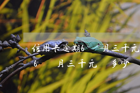 信用卡逾期6個月三千元還多少(信用卡逾期6個月三千元還多少)